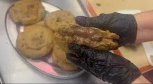 Hazelnut Cream Cookie Machine