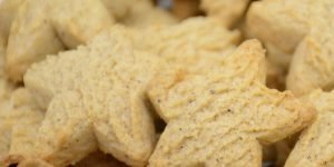 gingerbread bralyx gingerbread bralyx