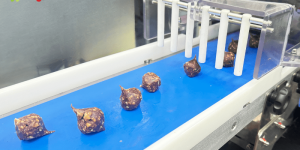 Machines to make date truffles Bralyx Machines to make date truffles